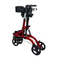 Rulaator "RUBY" - Image 2